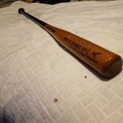 Baseball Bat FUNGO 37"Easton
