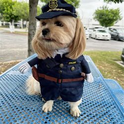 Assorted Dog Cat Costume