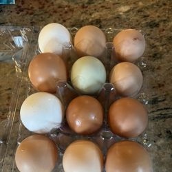 Farm Fresh Eggs