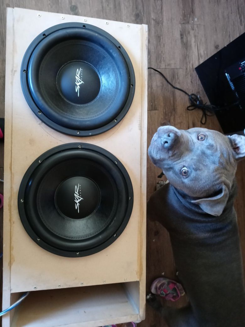 2 skar audio speakers 12'