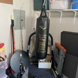 Everlast Punching Bag With Gloves And Speed Bag
