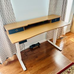 FLEXISPOT 55” Electric Standing Desk with Drawers
