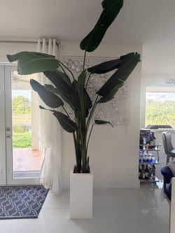 93” Birds of paradise fake plant tall artificial plant and fiberglass vase