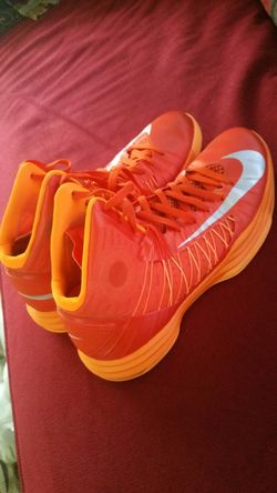 Nike haper dunk