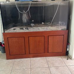 300 Gallon Fish Tank
