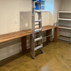 Werner Ladder 6ft