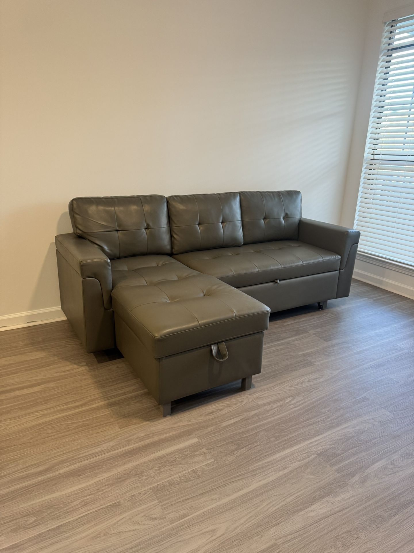 L-Shaped Pull Out Couch