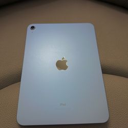 10th Gen IPad 