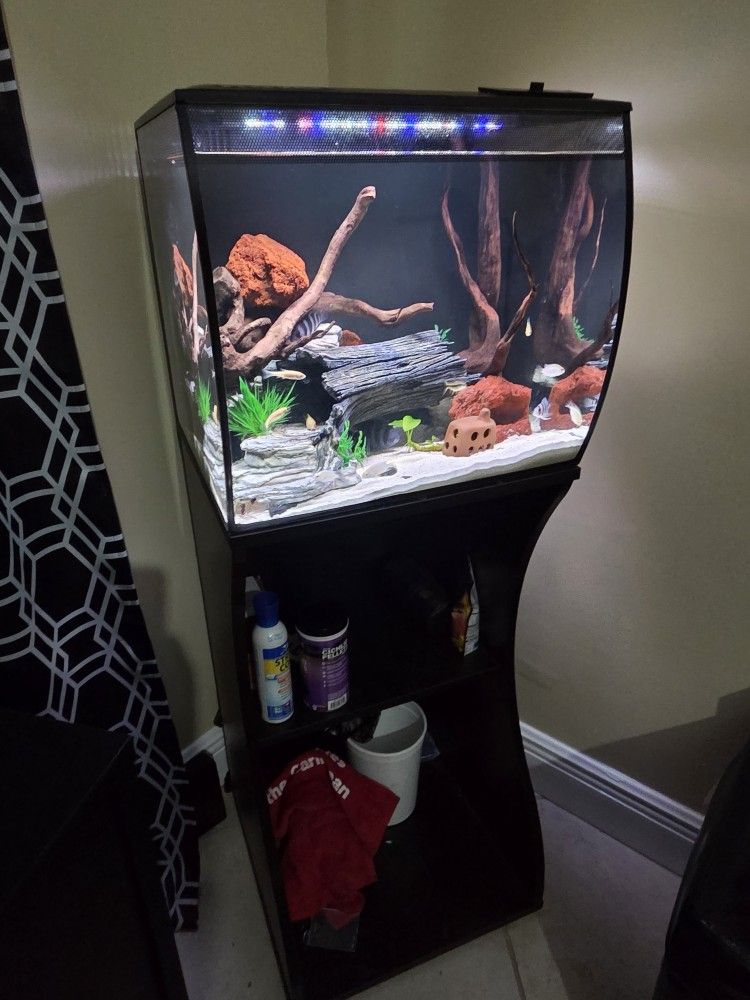 Fish Tank 15 Gallon Fluval