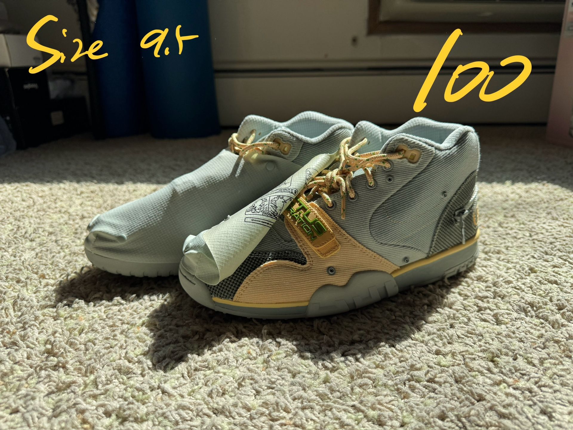 Brand New Travis Trainer Nike Shoes