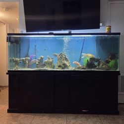 Fish Tank and Stand 145 Gal