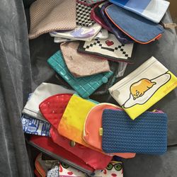 Ipsy Baggies