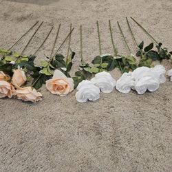 Decorative Roses (White & Peach)