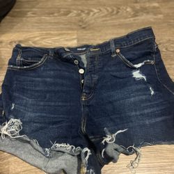 Size 16 Shorts 