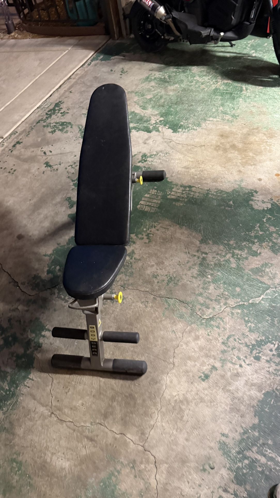 Adjustable Workout Bench