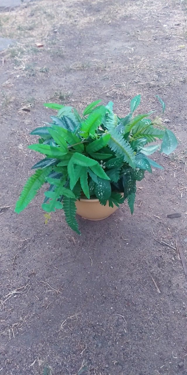 Faux fern in pot