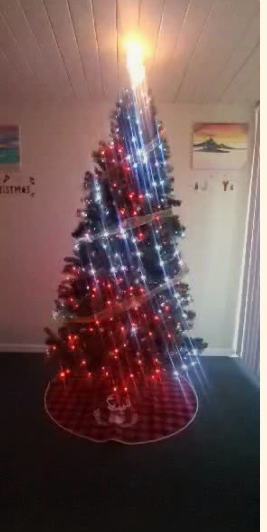 BONITO. ARBOL. DENAVIDAD