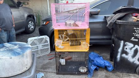 Bird care