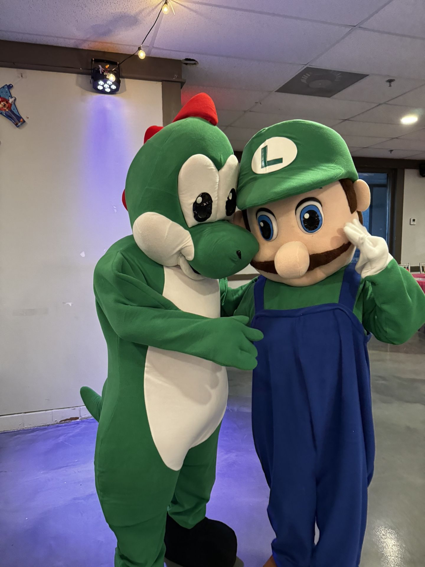 Mascot Costumes For Grown Ups / Mario, Luigi, Yoshi, Peach Princess / $400 Each