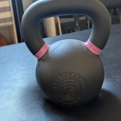 Kettlebell Kings 40lbs