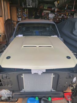 1(contact info removed) mustang hood