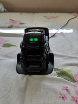 Vector robot