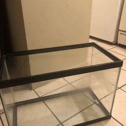 Reptile Tank With Heat Lamp