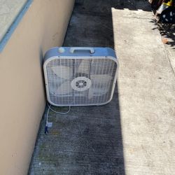 Bos Fan