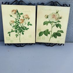 Wall Art Decor