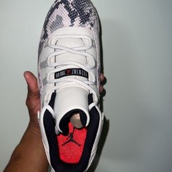 Retro 11 Low IE “Snake Skin Light Bone”