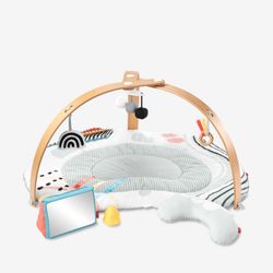 Skip hop Activity gym