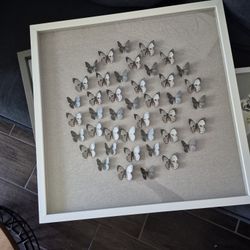 3D Butterfly Wall Art