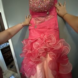Quinceañera Dress 