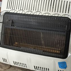 Natural Gas Heater 