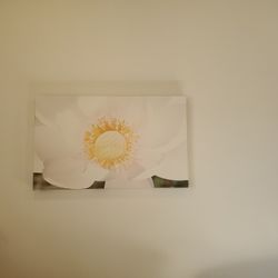 Nice Floral Wall Art

