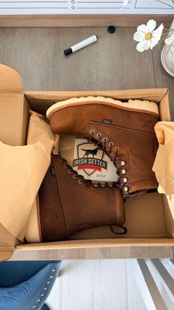 Irish Setter - Red Wings