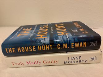 2 Mystery Books (Fiction)