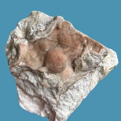 Lace Agate With Strawberry Druzy Quartz. Gemstones Crystals Rocks Minerals