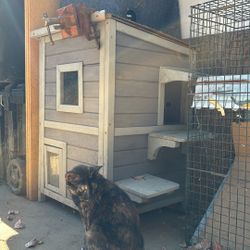 Cat House