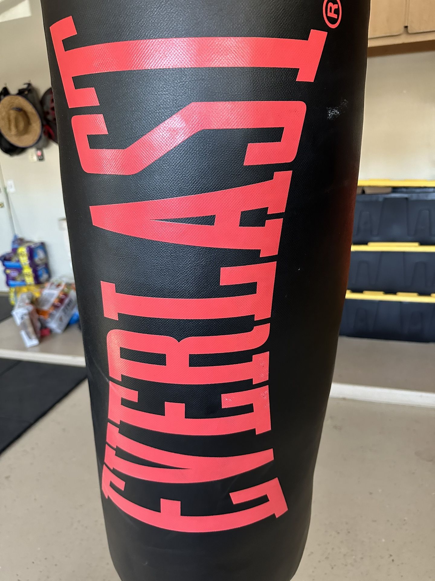 70lbs Everlast Punching Bag, Hanger And XL Gloves 