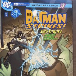 The Batman Strikes #25 (2006)