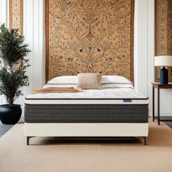 Cal king full queen king twin xl mattress