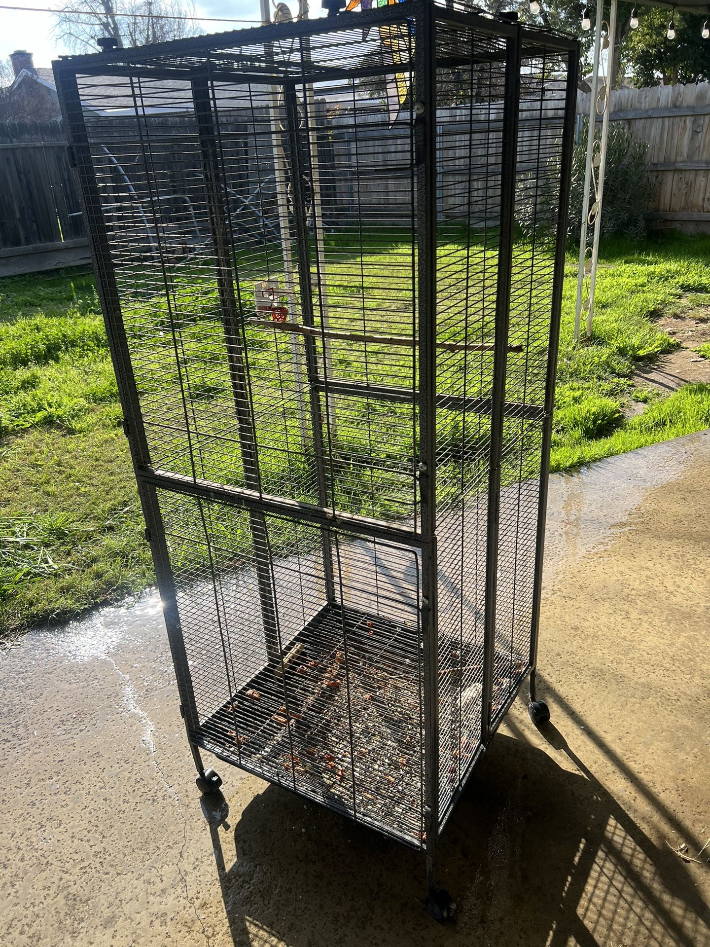 Big Bird Cage