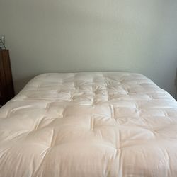 USED Teddy Certified Organic Wool Mattress | Organic Wool Futon Mattress | All Wool Mattress Soft