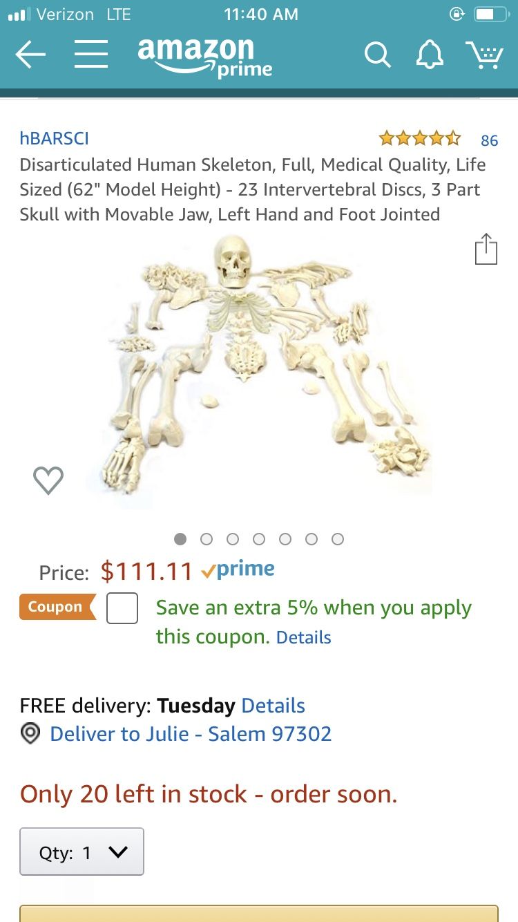 Disarticulated Skeleton