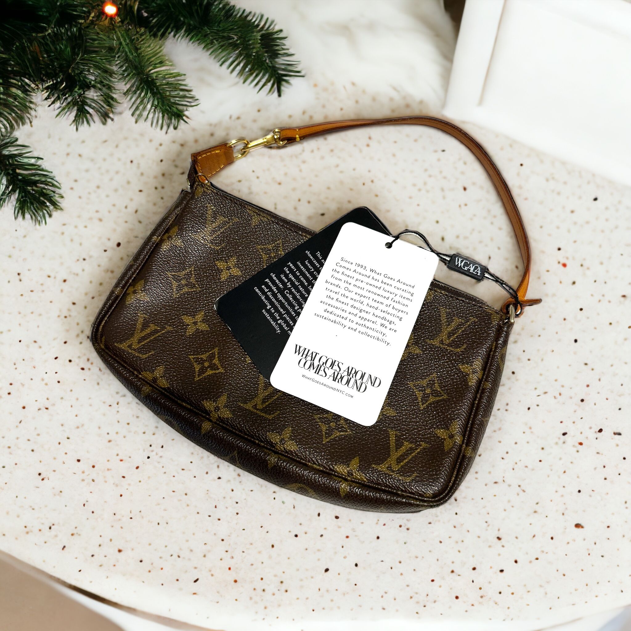 LOUIS VUITTON MONOGRAM CANVAS POCHETTE ACCESSOIRES