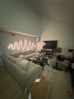 Grey Sectional Couch