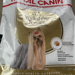 Yorkshire Royal Canin