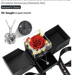 Preserved Red Real Rose with Heart I Love You Necklace