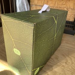 Edn Smart Garden Indoor Growing System – Hydroponic Planter